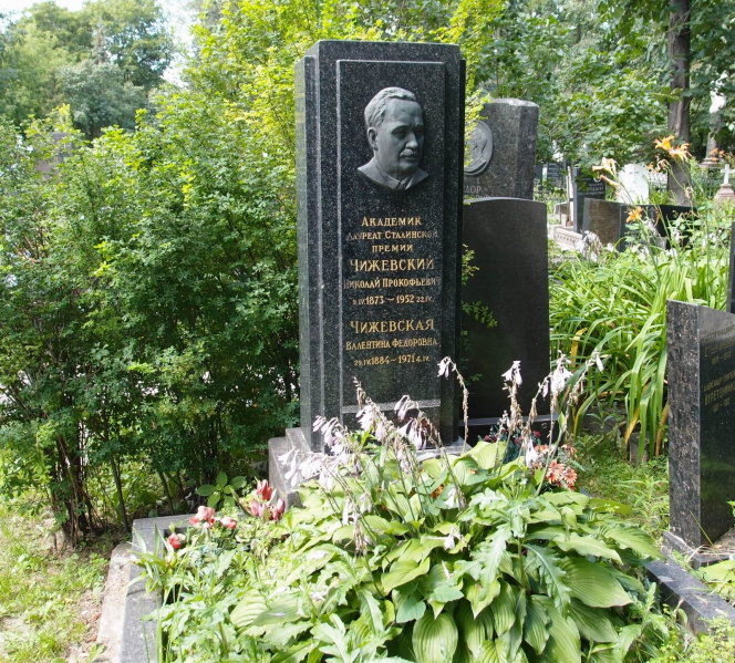 Файл:Chizhevskiy np.jpg