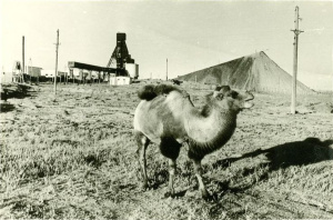 Copper mine near Kengir.jpg