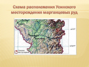 Img5.jpg