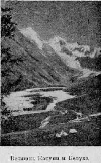 Belucha.jpg
