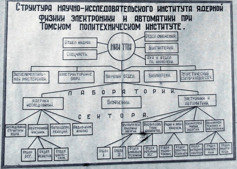 Файл:2.IMG 0202структура ннияф.jpg