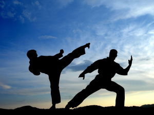 1701531905 sportishka-com-p-vid-sporta-karate-krasivo-9 (1).jpg