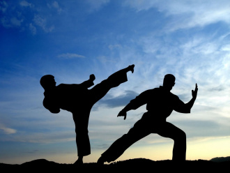 1701531905 sportishka-com-p-vid-sporta-karate-krasivo-9 (1).jpg